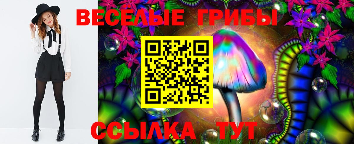 Галлюциногенные грибы Magic Shrooms  Псилоцибиновые грибы прущие грибы  Вход с VPN  Вичуга 