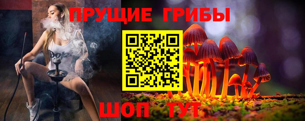 Галлюциногенные грибы MAGIC MUSHROOMS Вичуга